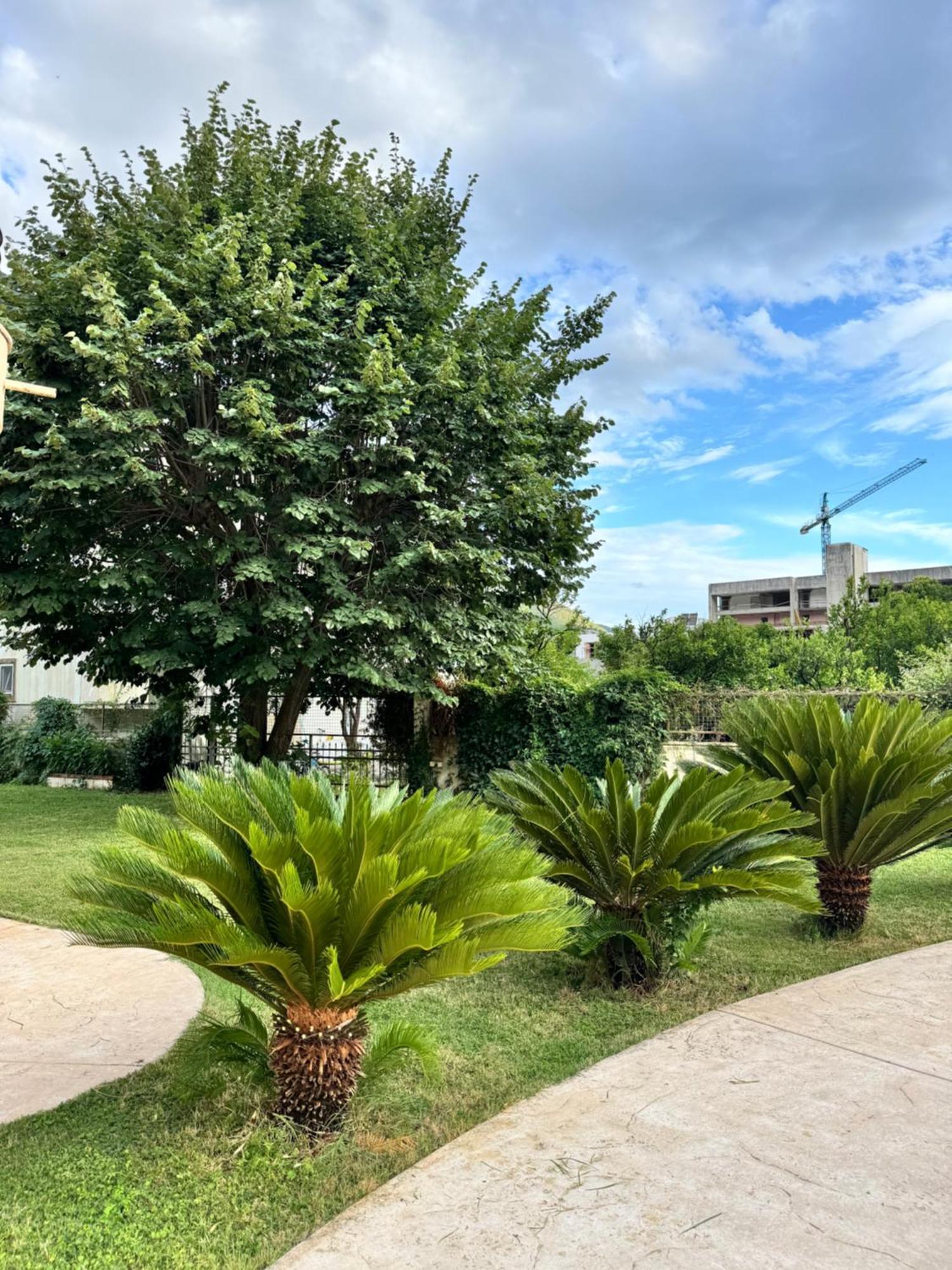 Carine Garden Risan Exterior foto